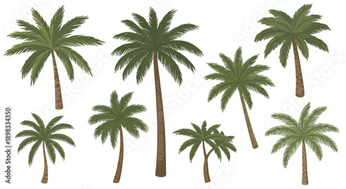 Collection of Diverse Palm Trees on White Background - Tropical Foliage Illustration