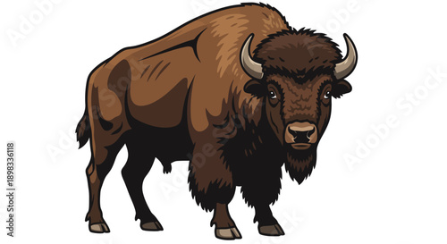 Brown bison standing on white background in a vector illustration
