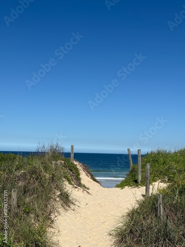 Sandy Beach Pathway Leading to the Ocean