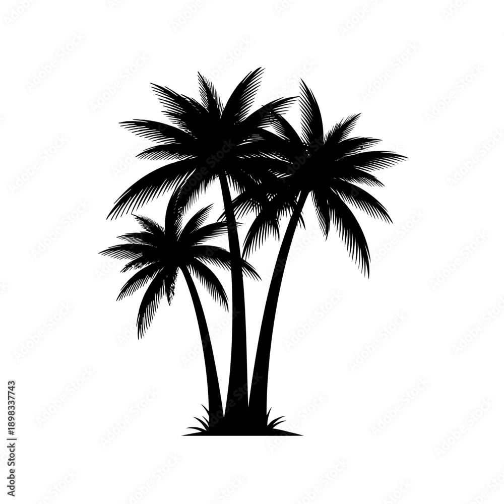 Obraz premium Silhouette of three palm trees against a white background, tropical foliage design