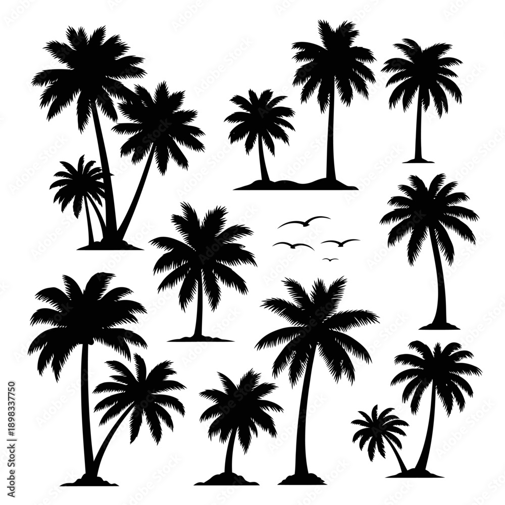 Obraz premium Tropical Palm Tree Silhouettes Collection - Tropical Beach and Island Vegetation