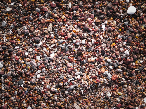 Bilde på lerret Sand, gravel and small shells on the seashore as a natural background