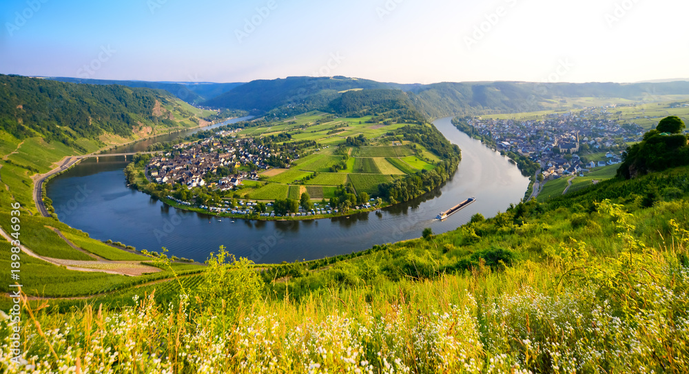 Obraz premium Panorama of the landscape along the Moselle River with the famous 180-degree river bend near Kröv in Rhineland-Palatinate (Germany). Idyllic view from one of the vineyards on a sunny summer day.