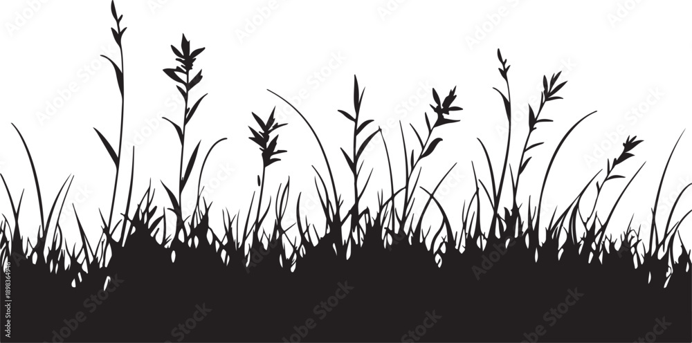 custom made wallpaper toronto digitalBlack grass and bamboo plant silhouette vector illustration featuring a floral meadow design with spring leaves and summer garden elements isolated on a white nature background frame