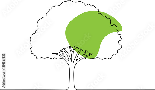 A simple illustration of a tree with a green section highlighted on the right side of its foliage.