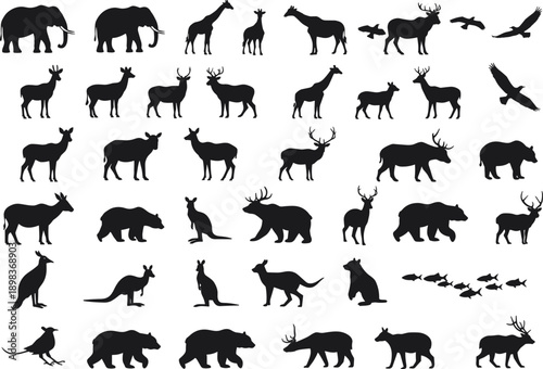 Silhouette animal collection with mammals, birds, reptiles, fish, wildlife taxonomy, zoological illustration, environmental design, biodiversity reference, nature artSilhouette 