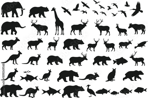 Silhouette animal collection with mammals, birds, reptiles, amphibians, fish, wildlife taxonomy, zoological illustration, environmental design, biodiversity reference