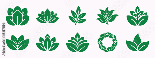 Collection of diverse green leaf and lotus flower nature icons for eco-friendly branding and wellness products Vector