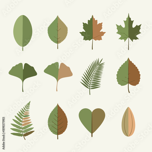 Stylized assortment of various leaves in a range of shapes and colors