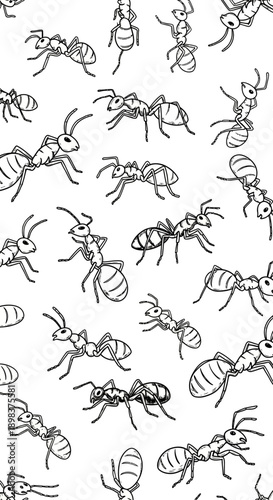 Illustration of Ants, Insect Behavior, Nature Patterns, Graphic Design, Scientific Study, Black and White Style