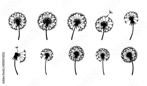 Hand Drawn Dandelion Flower Silhouette Doodle Icon Set Vector
