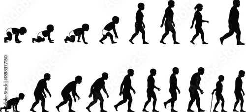Silhouette illustration showing human life stages, from crawling baby to elderly adult, depicting growth, aging, evolution, development, and life transition concept.