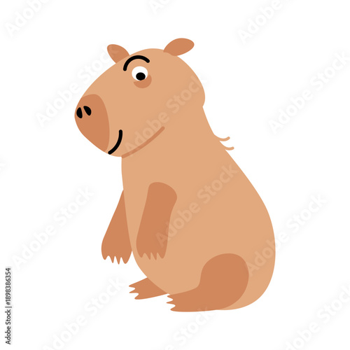 Capybara looks surprised with raised eyebrow. Looking swamp guinea pig rodent. Tropical swamp animal mammal. Flat cartoon vector isolated on white background