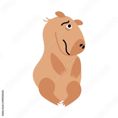 Annoyed upset capybara with pained expression on his muzzle. Worried swamp guinea pig rodent. Tropical swamp animal mammal. Flat cartoon vector isolated on white background