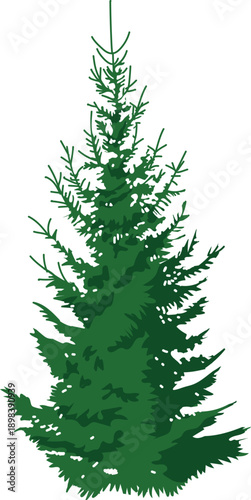 Green spruce tree in realistic style isolated on white background