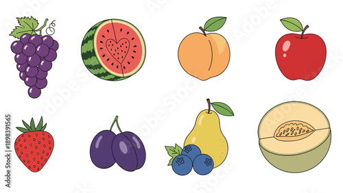 Assortment of fresh fruits including grapes, watermelon, peach, apple, strawberry, plums, pear, and melon in a colorful vector illustration.