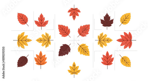 Autumnal Foliage Collection Diverse Maple Leaf Illustrations Minimalist Design