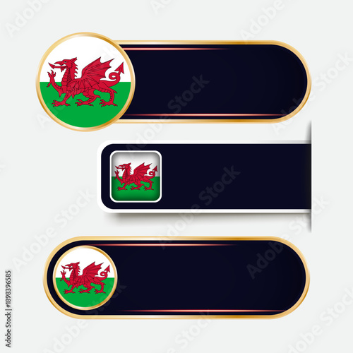 Shiny Wales Flag Banners Set