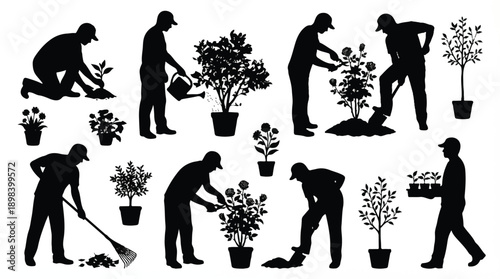 Black silhouettes of people gardening and plants on white background