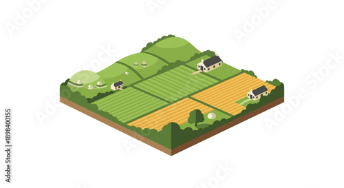 Isometric rural landscape with fields and houses