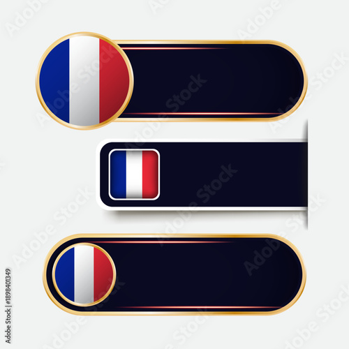 Shiny France Flag Banners Set