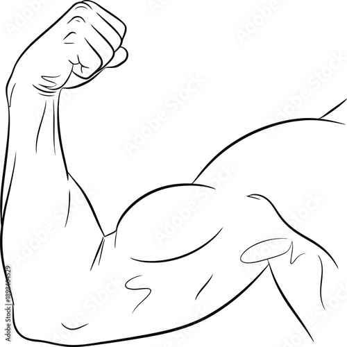 Muscular arm flexing vector illustration isolated on transparent background, Vector