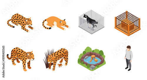 Isometric zoo scene with cheetahs, cage, and visitor in natural habitat
