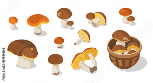Isometric assortment of wild mushrooms with basket on white background