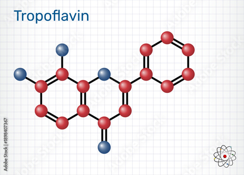 7,8-Dihydroxyflavone, tropoflavin molecule. Natural flavonoid and potent TrkB agonist. Sheet of paper in a cage. Molecular model. Vector Illustration