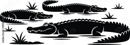 Alligator crocodile silhouette illustration set, wild reptiles in swamp water, black and white animal wildlife vector artwork design