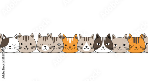 Cute row of various cat faces with different colors and patterns like tabby, calico, and ginger for feline lovers and animal themed decor.