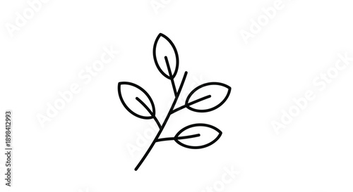 Minimalist black and white line art illustration of a small branch with four leaves on a plain white background.