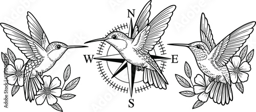 Hummingbird illustration with compass rose, black and white line art birds and flowers, vintage tattoo style nature artwork