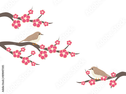 うぐいすと梅の花