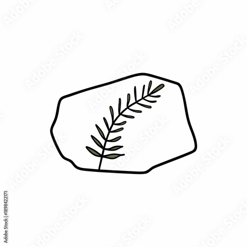 Fossil Leaf Vector