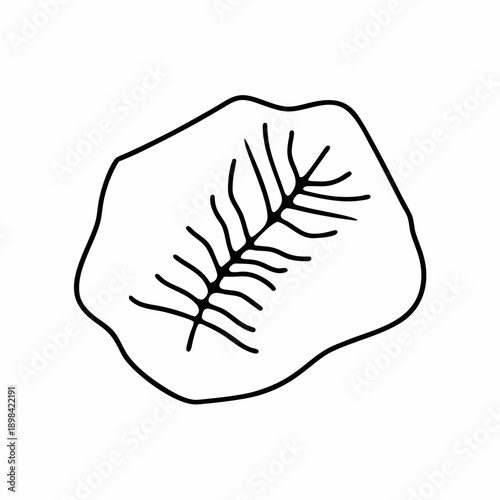 Fossil Leaf Vector