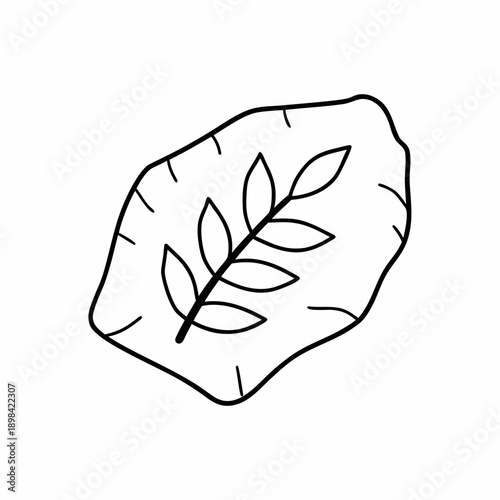Fossil Leaf Vector
