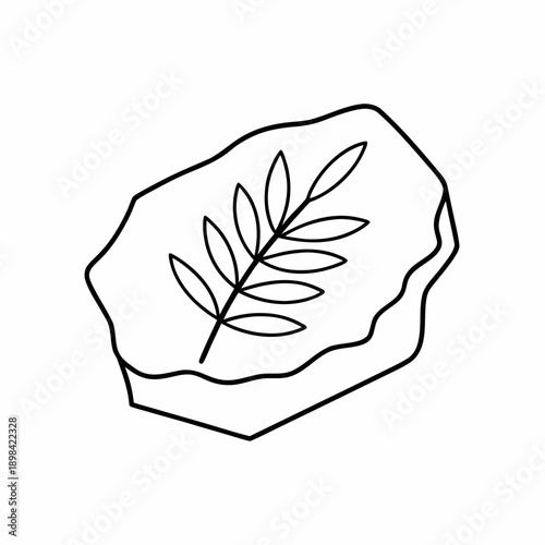 Fossil Leaf Vector