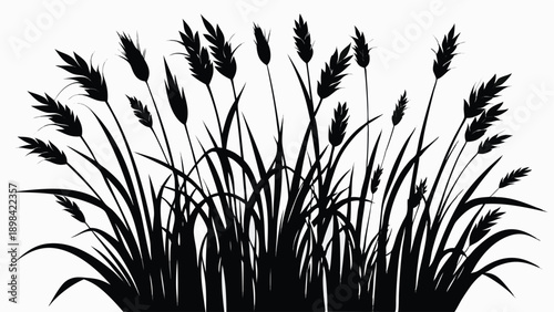 Captivating vector illustration of tall wild grass in black silhouette, ideal for nature-inspired designs, organic backgrounds, and decorative elements