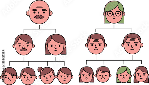 Family tree genealogy vector illustration with grandparents, parents and children faces, modern cartoon avatar chart design for ancestry, relationship and history concept
