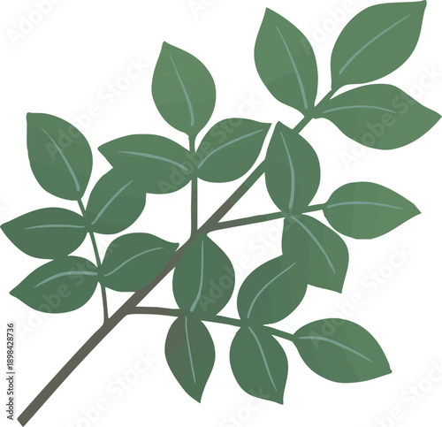 神社の玉串　神道の儀式で使われる供え物のベクターイラスト / Tamagushi Shinto ritual vector