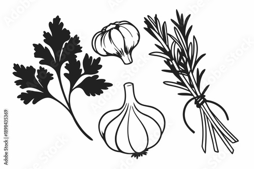 A minimalist vector illustration of herbs and garlic on a white background