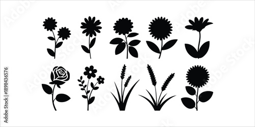  flower isolated on white background as package design element