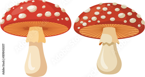 Cartoon mushroom set. Isolated fungi vector illustration collection. Forest fresh food clipart