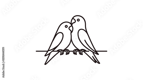 Two budgerigars perched closely together on a simple branch