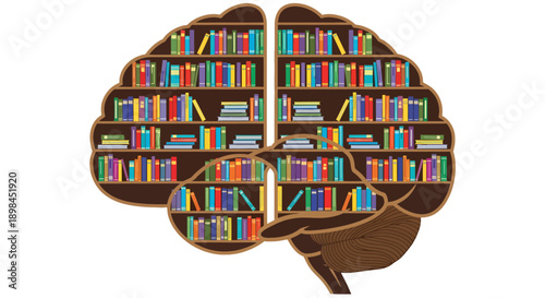 Conceptual human brain designed as bookshelves filled with books