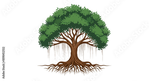 Majestic banyan tree illustration with extensive aerial roots