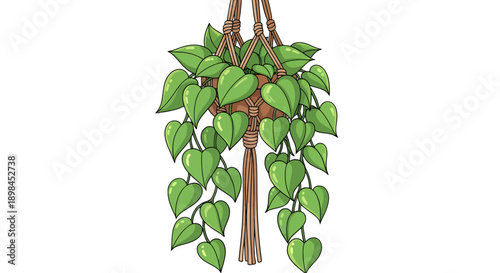 Lush green Pothos hanging plant in a woven macrame hanger for indoor