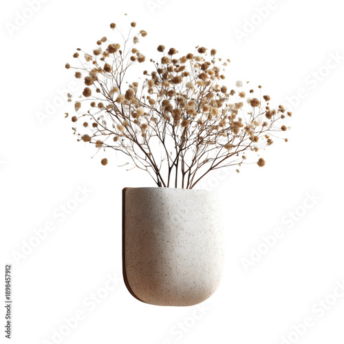 Delicate dried beige baby's breath flowers arranged artistically in a speckled modern ceramic planter on transparent background