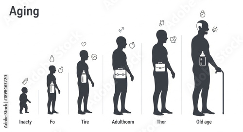 Human aging process from infancy to old age silhouette comparison.
